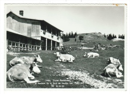 Suisse//Schweiz//Svizerra // Switzerland//Vaud // La Dent De Vaulion-- Chalet Restaurant - Vaulion