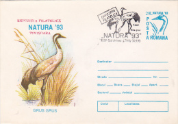 3856A BIRD IN THE GRASS,GRUS GRUS,1993,POSTAL STATIONEY,ROMANIA - Albatros