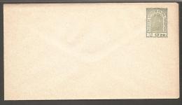 RANDERS BYPOST. 1888. Envelope 2 øre Greyish Green. Beautiful Unused Envelope. (Michel: ) - JF170762 - Ortsausgaben