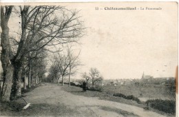 18. Chateaumeillant. La Promenade - Châteaumeillant