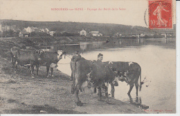 BONNIERES SUR SEINE - Paysage Des Bords De La Seine ( Agricultuer Vache )  PRIX FIXE - Bonnieres Sur Seine