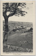 43  -  SAUGUES  - Paturage En Vue De Saugues - Saugues