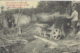 Armée Belge -  Dans La Forêt D'HOUTHULST - Un Obusier Allemand 150 Pris Par Les Belges - Houthulst