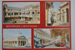 MONTPELIER CHELTENHAM  THE SHAMBLES /ARCADE /ROTUNDA / WALK - Cheltenham