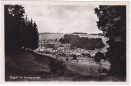 Elzach  Im  Schwarzwald - Elzach