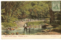 S2107 - A River Scene, Caura. Trinidad, B.W.I. - Trinidad