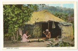 S2114 - Grass Hut, Hawaii - Honolulu