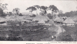 Panguma Sierra Leone - Non Circulé - Sierra Leona