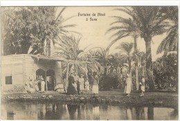 Carte Postale Ancienne Egypte - Suez. Fontaine De Moïse - Suez