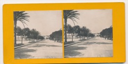 Photographie XIXème Vue Stéréoscopique Nice Promenade Des Anglais - Stereoscopio