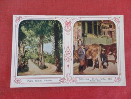 - Florida> Key Wes Delivering Fresh Milk From Cow & Palm Beach  Reference 1675 - Key West & The Keys