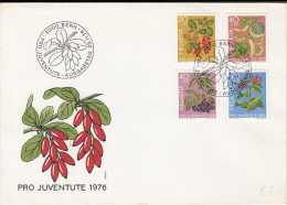 R57729- MEDICINAL PLANTS, FLOWERS, BERRIES, COVER FDC, 1976, SWITZERLAND - Medicinal Plants