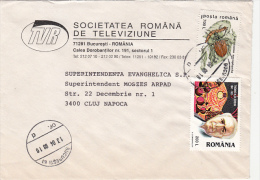 R57912- BEETLE, T.A. EDISON, STAMPS ON COVER, NATIONAL TELEVISION HEADER, 1998, ROMANIA - Cartas & Documentos