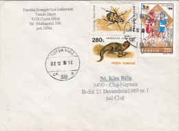 R57927- BEETLE, MONGOOSE, BOXING, , STAMPS ON COVER, 1999, ROMANIA - Cartas & Documentos