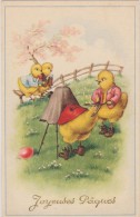 JOYEUSES PAQUES Avec Photographe,métier,poussi Ns,dans La Prairie,lettres  En Relief Dorées - Ostern