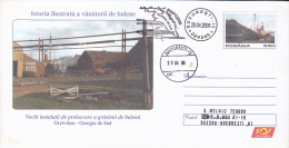 FM3961 WHALES HUNTING IN GRYTVIKEN POSTAL STATIONERY CONCORDANTE ROMANIA 2006 - Whales