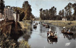 ¤¤  -   11   -  COULON   -  Promenade Sur La Rivière   -  ¤¤ - Sonstige & Ohne Zuordnung