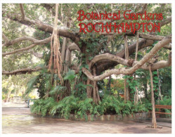 (211)  Australia - QLD - Rockhampton Botanical Gardens Trees - Rockhampton