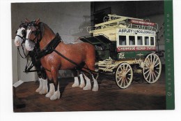 HORSE DRAWN OMNIBUS BUILT IN 1887 AND USED ON SERVICES AROUND BRISBANE FROM 1893 TO 1915 - CPSM GF - Brisbane