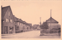 TIELT / THIELT : Stedemolenstraat - Tielt