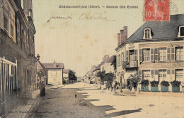 CPA - Châteaumeillant - Avenue Des Ecoles - Châteaumeillant