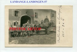 LANDANGE-LANDINGEN-Attelage-Carte Photo Allemande-Guerre 14-18-1WK-France-57- - Lorquin