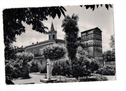 FAENZA 1955 - GIARDINI PUBBLICI - C819 - Faenza