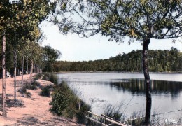 Cpsm ( 17 )  Montendre-les Pins Le Lac Desqueyroux - Montendre