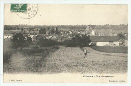 Chaource  (Aube) Vue Générale - Chaource