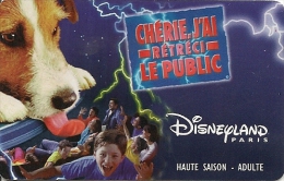 PASS-DISNEYLANDPARIS -1999-CHERIE J AI RETRECI LE PUBLIC-ADULTE-V°VIOLET FONCE- SPEOS-99/06/HOA-TBE- - Pasaportes Disney