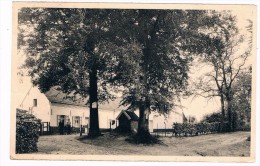 B5387   ORROIR : La Ferme De Jesus - Mont-de-l'Enclus