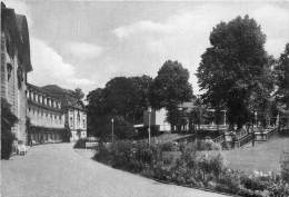 BG1952 Partie Im Kurpark Mit Hotel Esplanade Bad Nenndorf  CPSM 14x9.5cm Germany - Bad Nenndorf