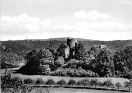 BG1998 Solbad Karlshafen A D Weser Ruine Krukenburg    CPSM 14x9.5cm Germany - Bad Karlshafen