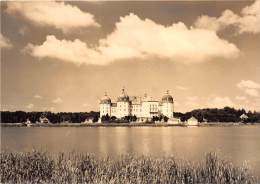 BG2006 Jagdschloss Moritzburg   CPSM 14x9.5cm Germany - Moritzburg