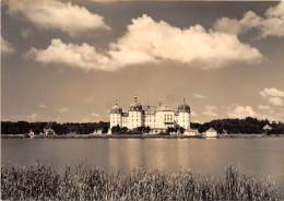 BG2007 Jagdschloss Moritzburg   CPSM 14x9.5cm Germany - Moritzburg