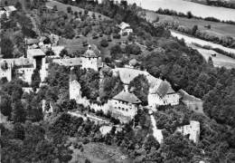 BG1023 Schloss Neuburg Inn   CPSM 14x9.5cm Germany - Neuburg