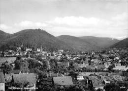 BG1165 Bad Harzburg Gesamtansicht Torn  CPSM 14x9.5cm Germany - Bad Harzburg