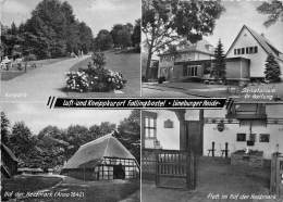 BG1204 Luneburg Heide Luft Und Kneippkurort Fallingbostel  CPSM 14x9.5cm Germany - Lüneburg