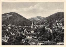 BG1211  Luftkurort Friedrichroda Thur  CPSM 14x9.5cm Germany - Friedrichroda