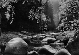 BG1269 Oberharz Im Okertal   CPSM 14x9.5cm  Germany - Oberharz