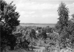 BG1292 Werder Havel Blick Zum Zernsee  CPSM 14x9.5cm  Germany - Werder