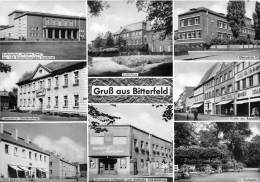 BG1508 Gruss Aus Bitterfeld   CPSM 14x9.5cm  Germany - Bitterfeld