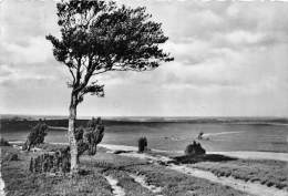 BG1631 Landscape  CPSM 14x9.5cm  Germany - Zu Identifizieren