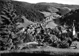 BG1699 Todtmoos Im Hochschwarzwald Vom Scheibenfelsen  CPSM 14x9.5cm  Germany - Todtmoos