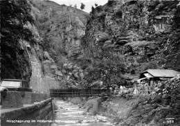 BG1742 Hirschsprung Im Hollental Schwarzwald   CPSM 14x9.5cm  Germany - Höllental