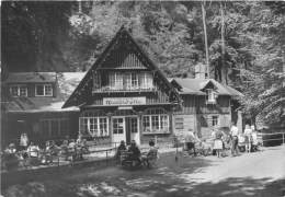 BG1760 Waldidylle Sachs Schweiz Hotel Gaststatte CPSM 14x9.5cm  Germany - Bastei (sächs. Schweiz)