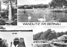 BG137 Wandlitz Kr Bernau Swan Cygne   CPSM 14x9.5cm Germany - Bernau