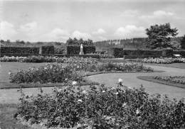 BG449 Bad Driburg Im Rosengarten  CPSM 14x9.5cm Germany - Bad Driburg