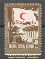 Turkey BOY SCOUT Topic Stamp 1949, VF MNH Hard To Find! - Timbres De Bienfaisance