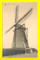 OUDE WINDMOLEN BUYS Te BREE * Moulin à Vent * Molen * Mill * Muhle            2081 - Bree